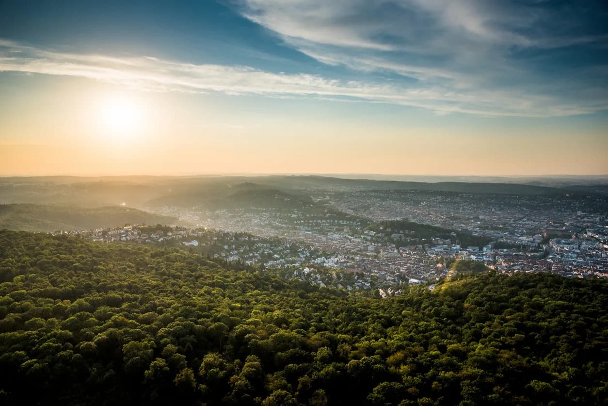 Fine Woods | Stuttgart bei Sonnenuntergang