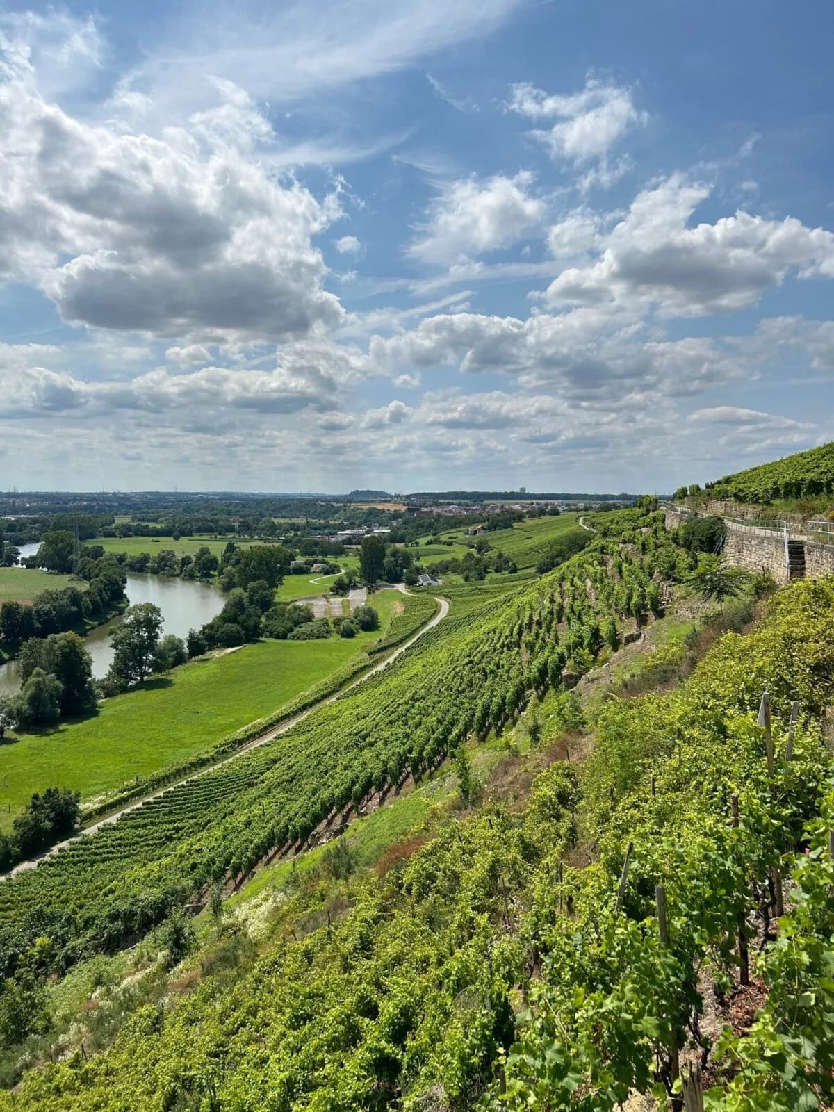 Umgebung des Neubauprojekts Karle in Ingersheim
