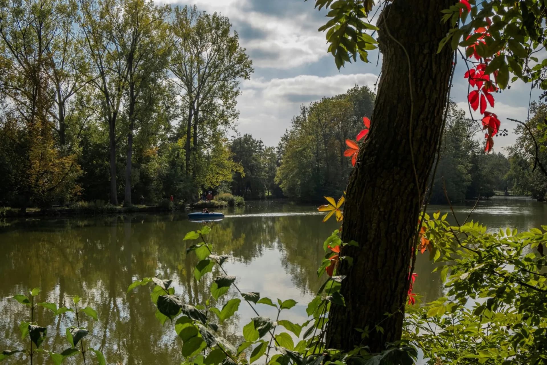 Karle | Natur